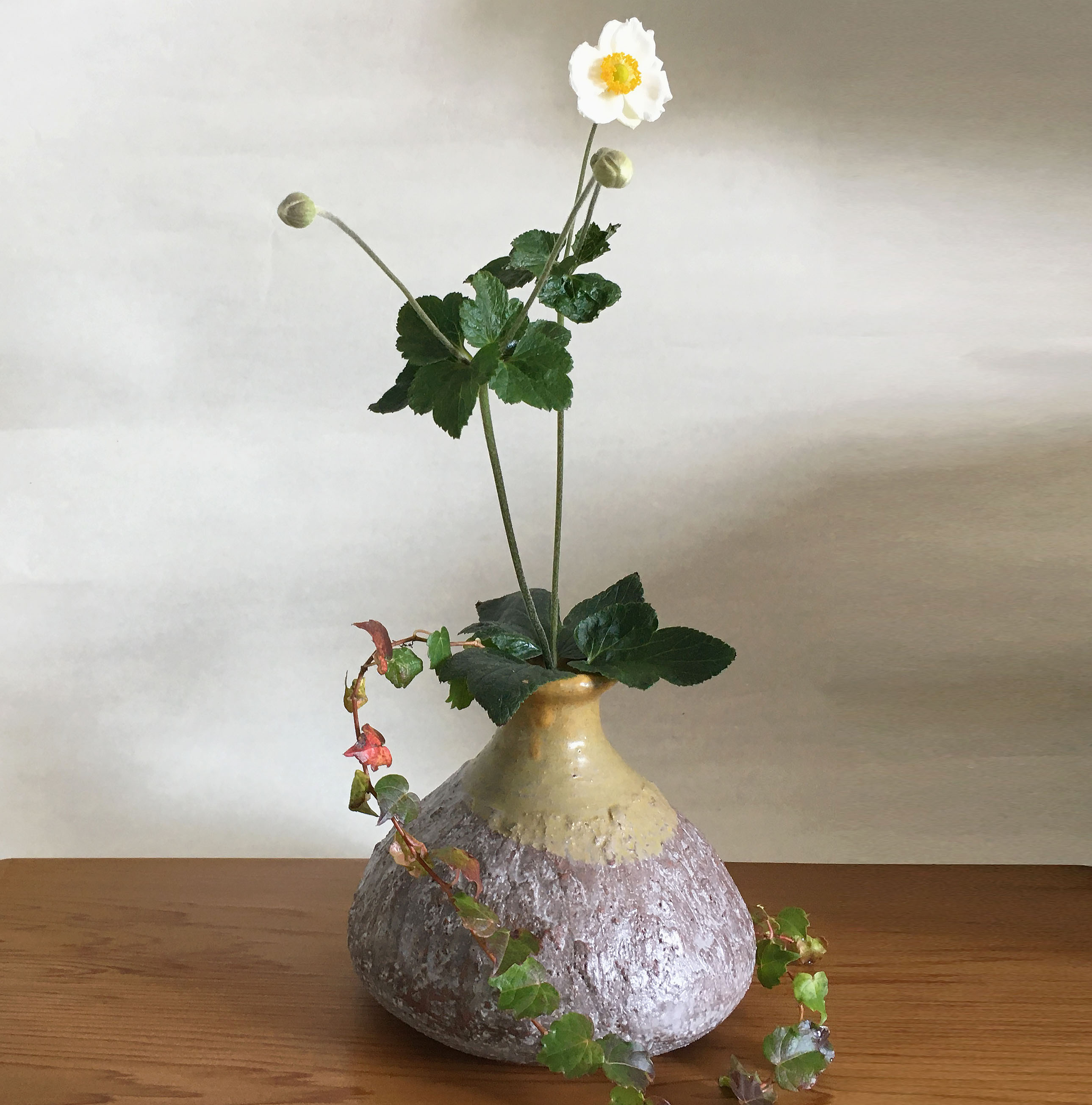 茶の湯の花、茶花：秋明菊